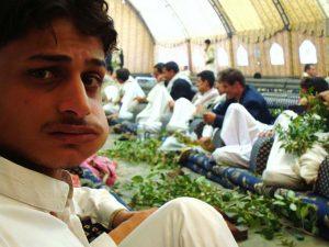 El entretenimiento yemení de masticar la hoja estimulante del qat está cavando la tumba de este país. Crédito: Cam McGrath/IPS