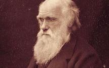 El lenguaje jugó una mala pasada a Darwin