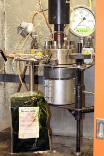 Obtienen biocombustibles con microalgas expuestas a la cocción a presión