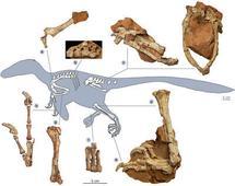 El dinosaurio “dragón robusto” aterrorizó a la Europa del Cretácico Superior