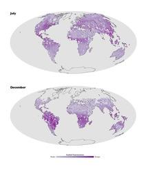 La NASA cartografía la fluorescencia de la vegetación terrestre