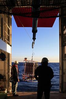 España es pionera en investigación oceanográfica 