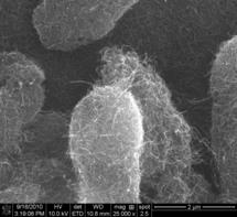 Nanotubos más precisos detectan bajas concentraciones de contaminantes 
