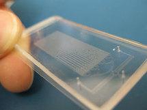 Desarrollan biosensores con bacterias que brillan al unísono