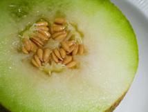 Científicos obtienen el genoma completo del melón