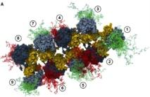 Nuevo método para fabricar máquinas de proteínas, a escala nanométrica