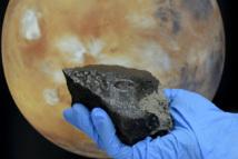Un meteorito caído en Marruecos trae a la Tierra materiales marcianos intactos 