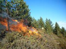 El clima de meses no estivales indica el riesgo de incendios en verano