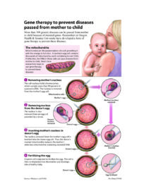 Nuevo procedimiento evita la herencia genética de enfermedades por vía materna