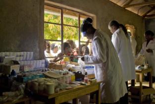Los datos de telefonía móvil ayudan a rastrear el contagio de la malaria