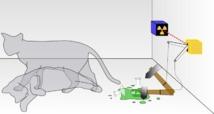 El gato de Schrödinger ayuda a observar átomos individuales y células vivas