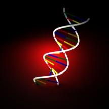 El anonimato de los donantes de ADN para estudios genómicos no está garantizado