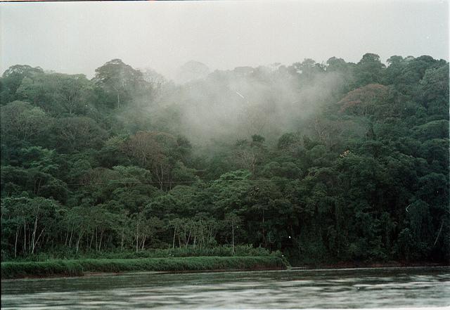 Bosque nublado en Costa Rica. Crédito: Germán Miranda/IPS