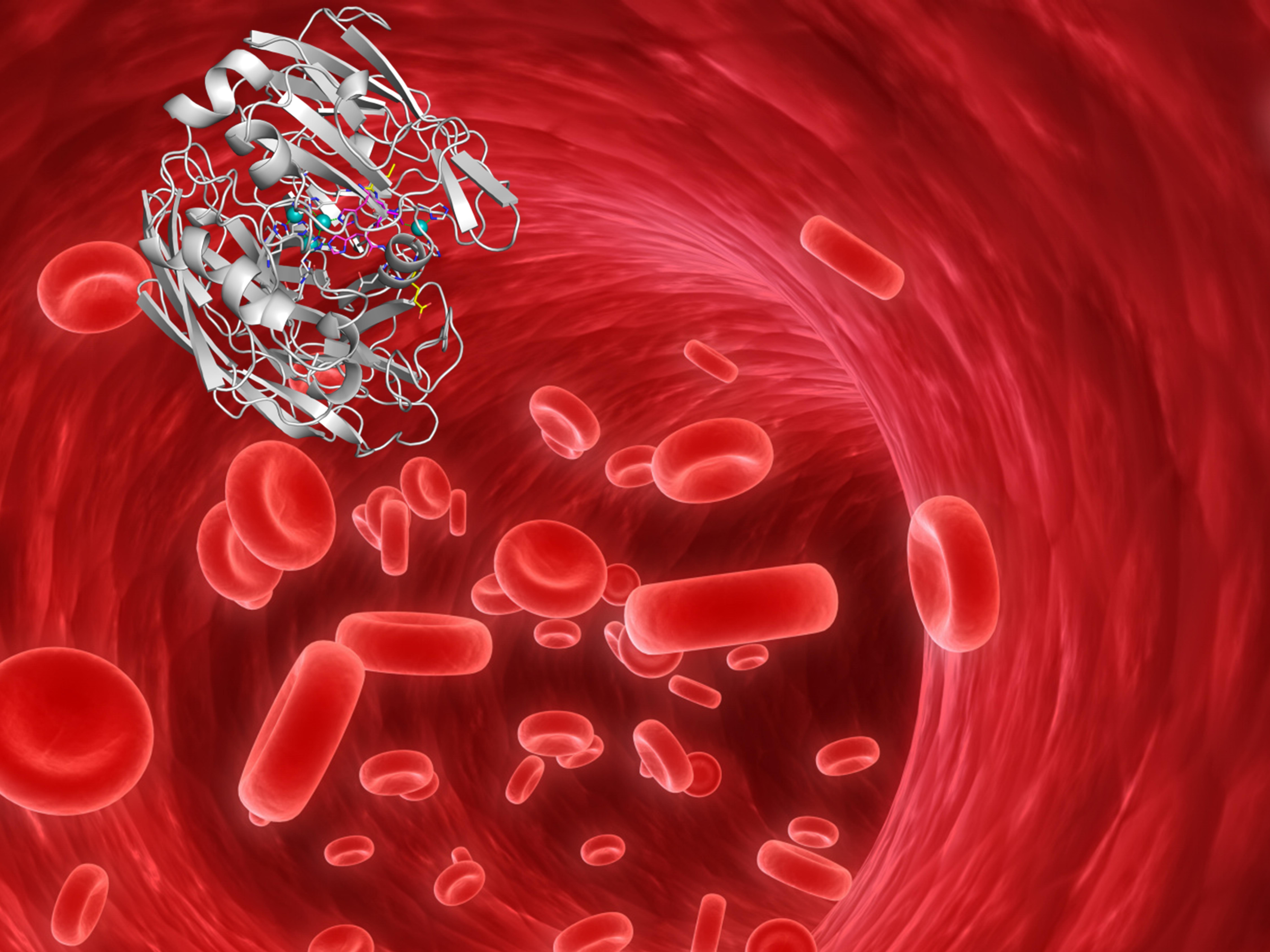 Una enzima mutada puede enviar información desde el torrente sanguíneo