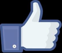 El 'Me gusta' de Facebook revela características muy íntimas de los usuarios 