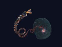 Bionimbus ‘cuelga’ la mayor base de datos sobre el cáncer en la nube