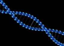 Silencian el cromosoma del síndrome de Down en células en cultivo