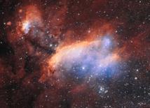 ESO fotografía la Nebulosa de la Gamba, donde están naciendo estrellas