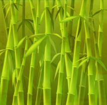 Uso del bambú para el tratamiento de aguas residuales