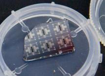 Crean un transistor sináptico que aprende mientras calcula
