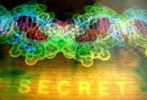 Nuevos hallazgos genéticos cuestionan el concepto de “individuo”