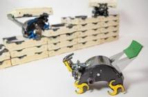 Robots-termita cooperan para fabricar estructuras, sin recibir órdenes