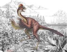 Encuentran un nuevo dinosaurio parecido a un ave: el 'pollo del infierno'