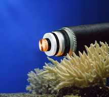 Renace la industria del cable de fibra óptica submarino 
