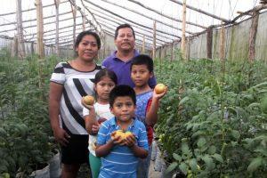 El ingeniero agrónomo Francisco Ramírez, socio de la Asociación Cooperativa de Producción Agropecuaria Hortaliceros de Cuscatlán, y su familia en uno de los invernaderos donde cosechan tomates. Crédito: Tomás Andréu/IPS