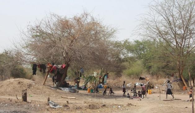 Miles de personas desplazadas acampan bajo los árboles en Minkaman, en el noreste de Sudán del Sur. Son parte de los cientos de miles de personas desplazadas durante los cinco meses de combates en el país. Crédito: Andrew Green/IPS