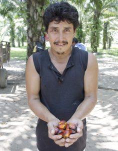 Un miembro de la Asociación de Productores de Palma del Valle del Aguán sostiene los frutos de los cuales se extrae el aceite de palma. Crédito: USDA / cc by 2.0