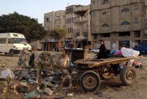 Los carros y los burros son la única opción para recolectar la basura en Gaza. Crédito: Mohammed Omer/IPS