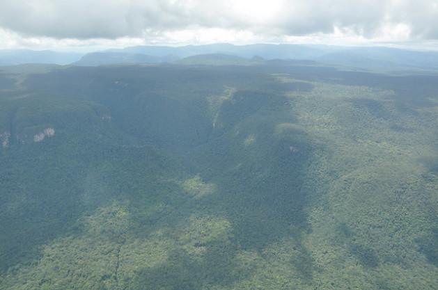 Guyana tiene 12,2 millones de hectáreas de bosques estatales. Crédito: Desmond Brown/IPS.