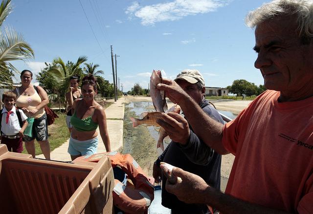 Los pescadores Díaz y Gorrín muestran la exigua captura diaria de biajaibas. Crédito: Jorge Luis Baños/IPS. 