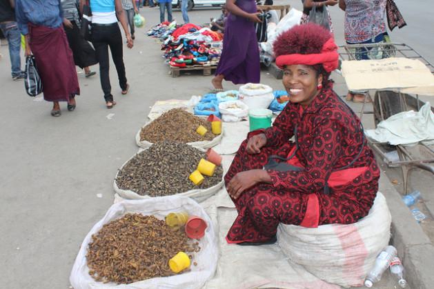 Dorothy Chisa vende orugas, un popular manjar de alto contenido proteínico en Zambia. Crédito: Amy Fallon/IPS.