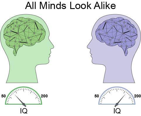 La dinámica del cerebro es la misma para todas las personas