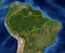 Consternación cristiana ante el deterioro social y ecológico de la Amazonía