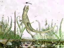 Descubren una nueva especie fósil de cocodrilo con dientes de mamífero