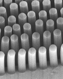 Un dispositivo de nanotubos de carbono detecta células cancerígeneas