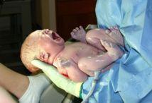 Nueva guía sobre los errores del ciclo de la urea para salvar a neonatos afectados
