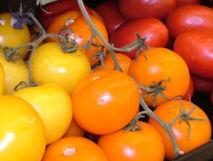Un hallazgo genético mejorará el atractivo y la calidad de los tomates