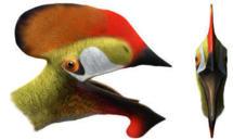 Hallan en Cuenca una nueva especie de reptil volador prehistórico