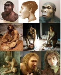 Tres especies de Homo distintas convivieron hace dos millones de años