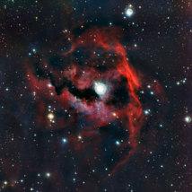 ESO retrata el rico colorido de una gaviota cósmica