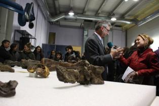 Descubren en Teruel un nuevo género de dinosaurios del Cretácico