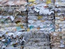 Usan residuos de la industria del papel para fabricar ladrillos
