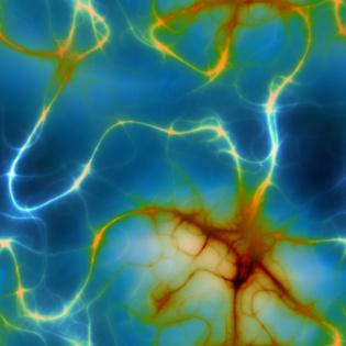Las neuronas colisionan al azar pero forman patrones ordenados
