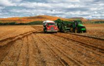 Nuevas pautas para reducir el coste medioambiental de la agricultura