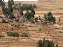 Reforestan las Tierras Altas de Etiopía con eucaliptos genéticamente mejorados