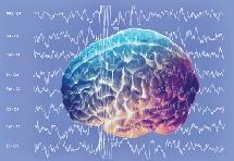Identifican las ondas cerebrales que controlan la autenticidad de los recuerdos